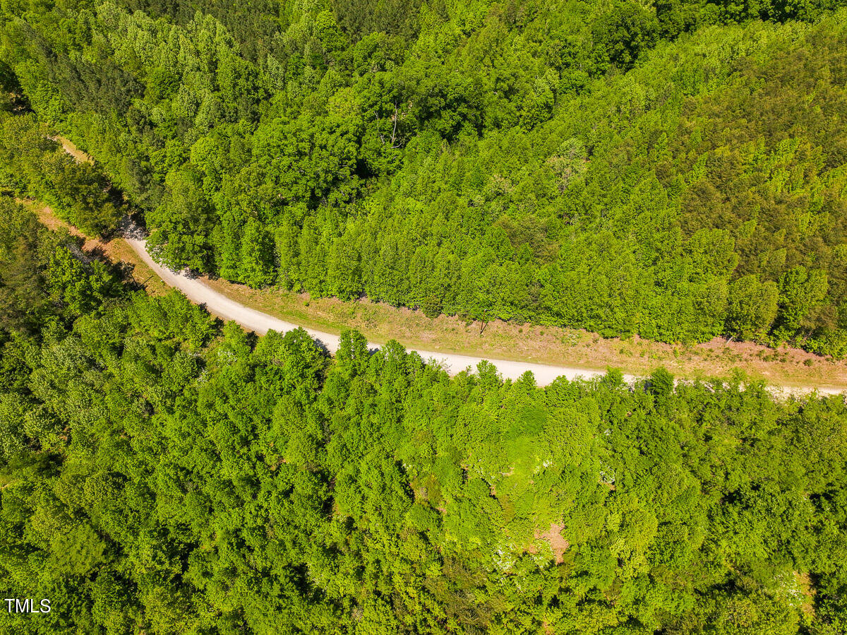Lot-1-00 Wilson Road Providence, NC 27315 - Photo 34 of 43 Caswell Co. NC -Wilsons Ridge-Lot 1-33
