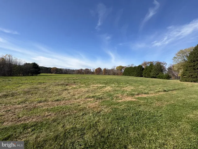 a view of a field with an ocean