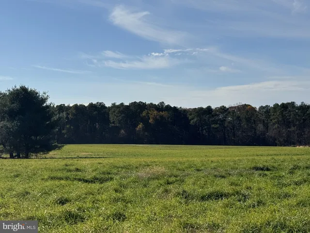 a view of lush green field