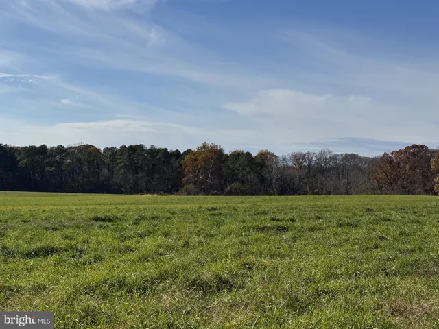 a view of an outdoor space and a yard