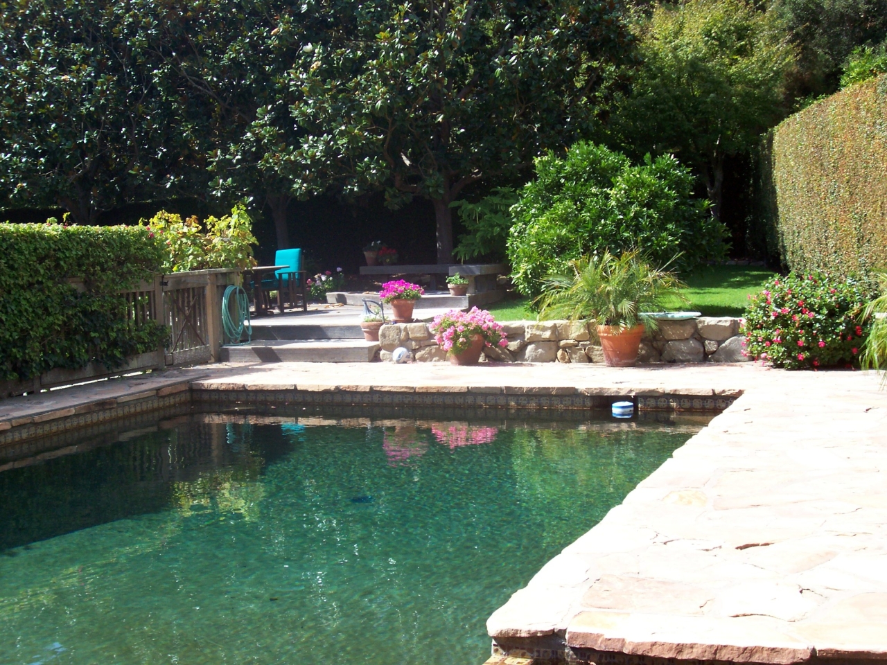 660 Randall Road Santa Barbara, CA 93108 - Photo 6 of 7 Pool