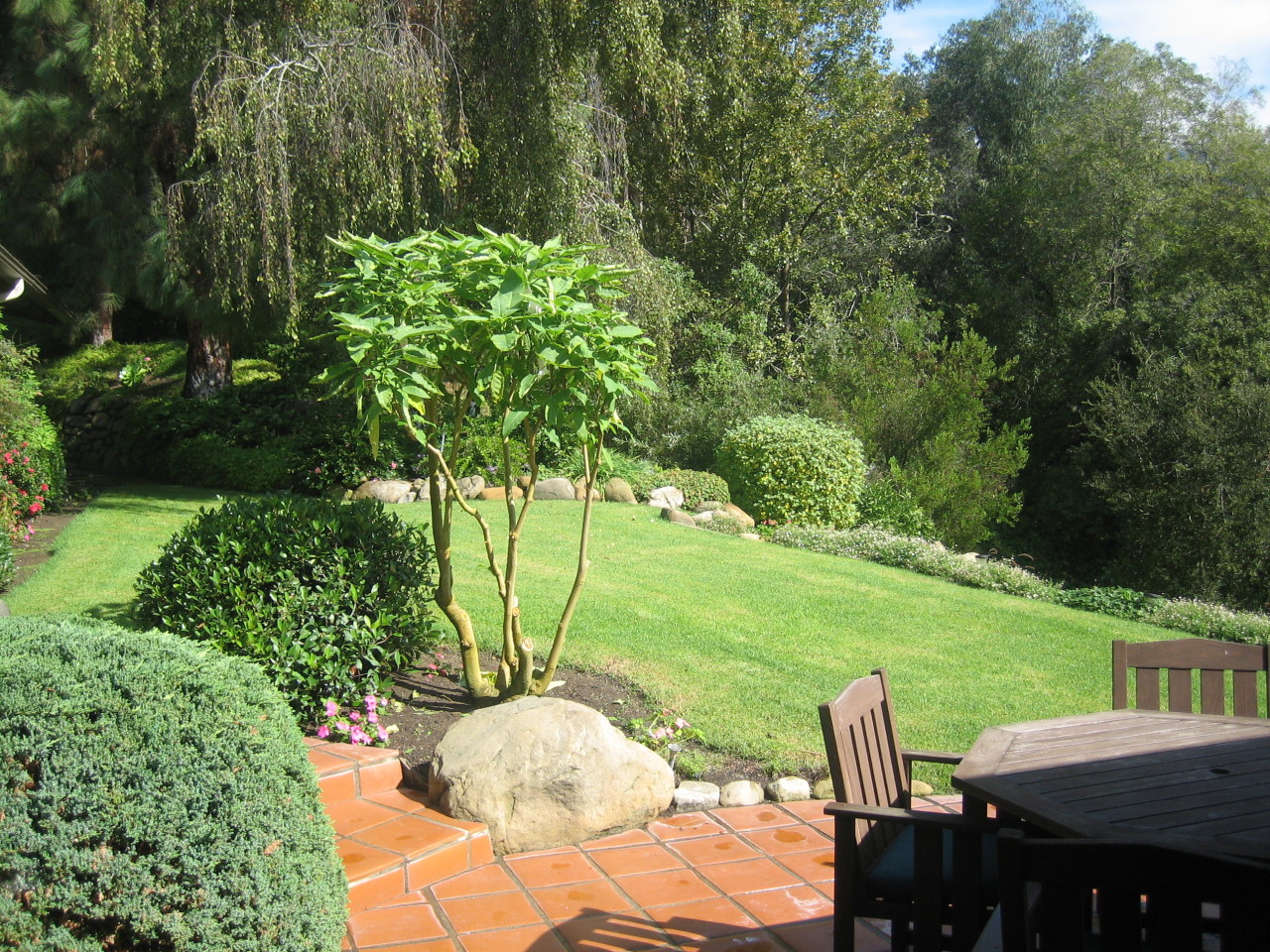 660 Randall Road Santa Barbara, CA 93108 - Photo 7 of 7 Yard
