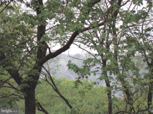 $1,175,000 | 1101 Finley Lane, Alexandria, VA 22304