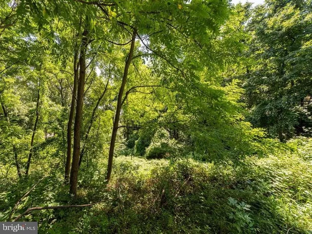 $1,175,000 | 1101 Finley Lane, Alexandria, VA 22304