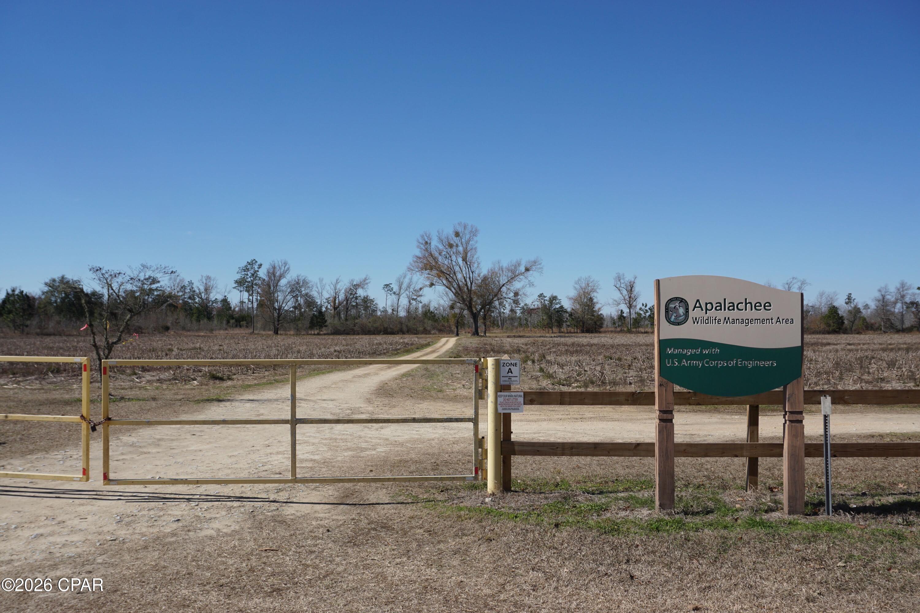 X Weddington Road Sneads, FL 32460 - Photo 13 of 15