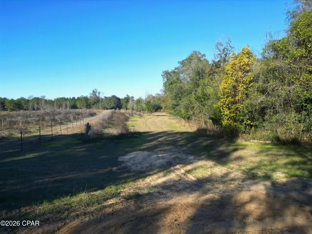 $95,000 | X Weddington Road, Sneads, FL 32460
