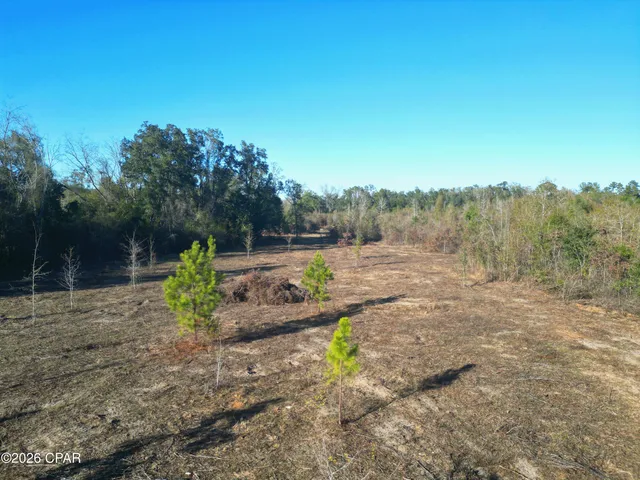 $95,000 | X Weddington Road, Sneads, FL 32460