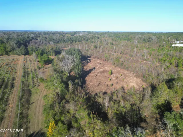 $95,000 | X Weddington Road, Sneads, FL 32460