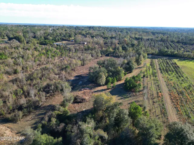 $95,000 | X Weddington Road, Sneads, FL 32460