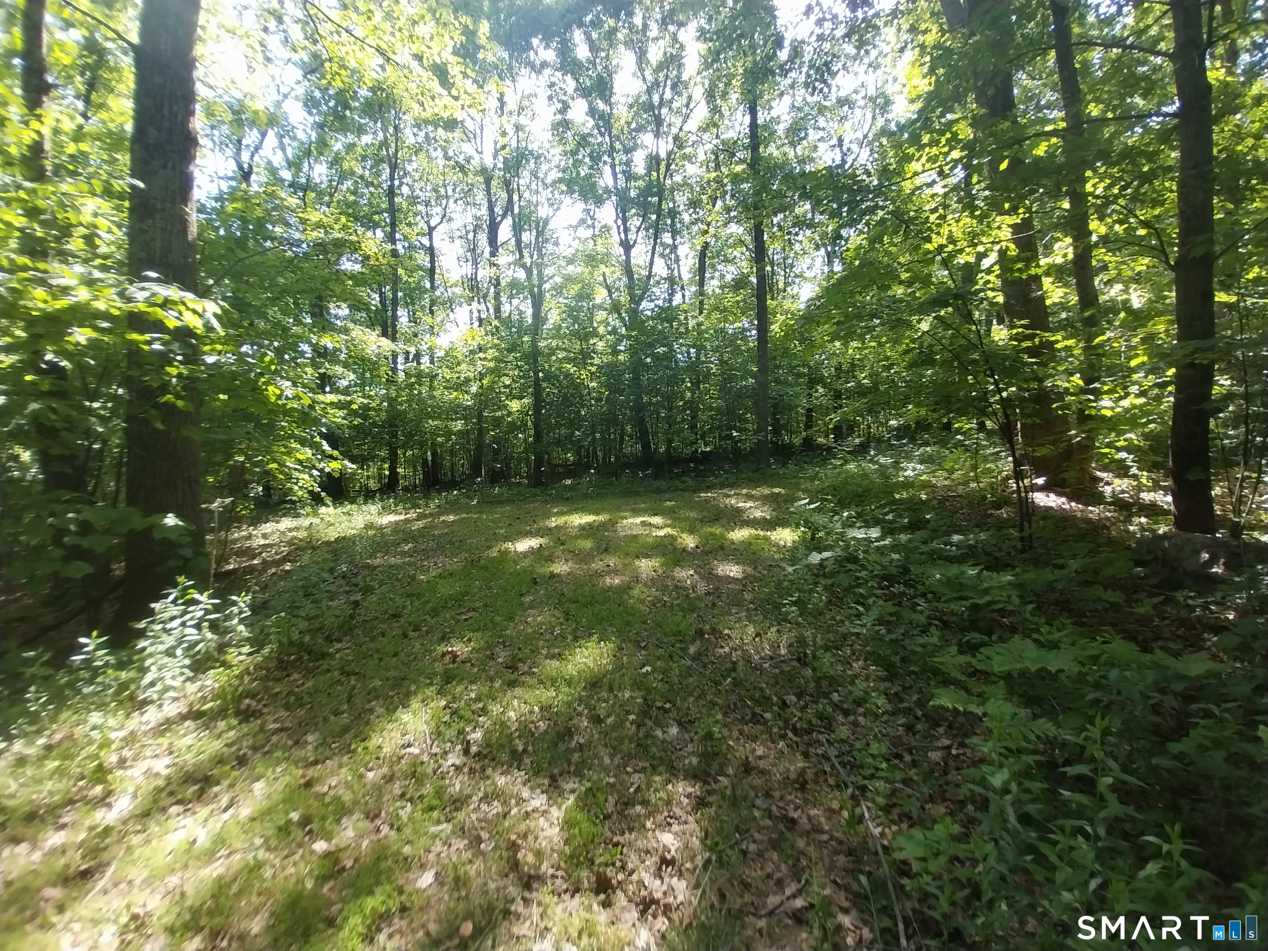 Mount Mauwee Road South Kent, CT 06785 - Photo 7 of 10