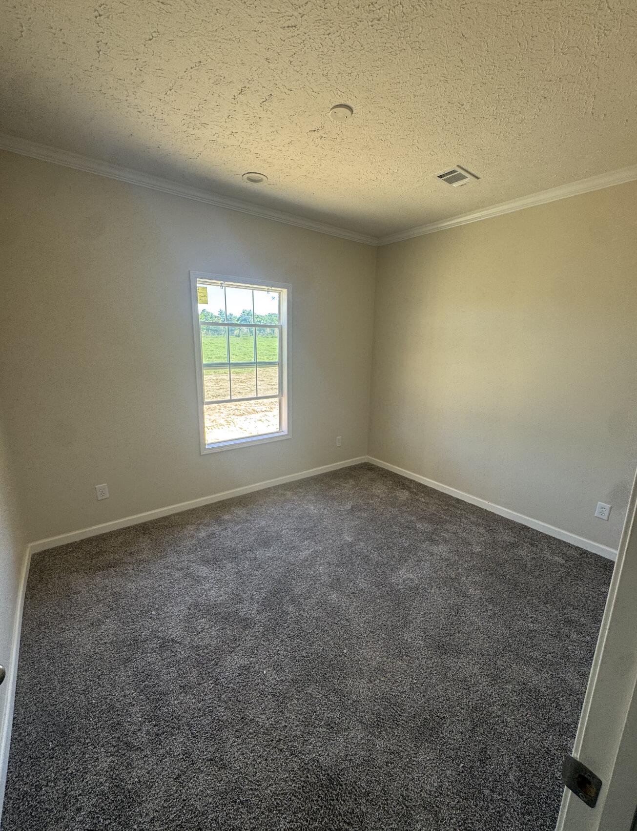 3168 New Holland Road Wagener, SC 29164 - Photo 6 of 14