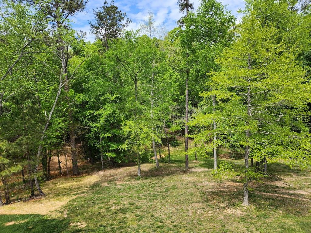 7367 Sweet Magnolia Lane Harrison, TN 37341 - Photo 18 of 33