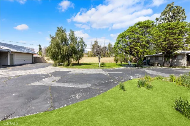 a view of a park with large trees