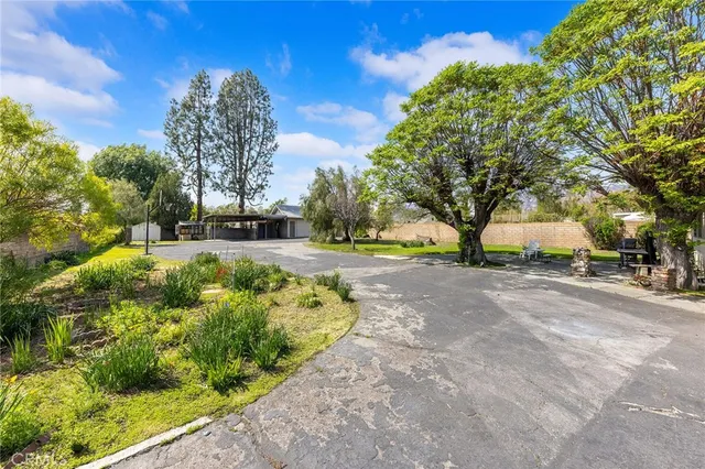 a view of garden with trees