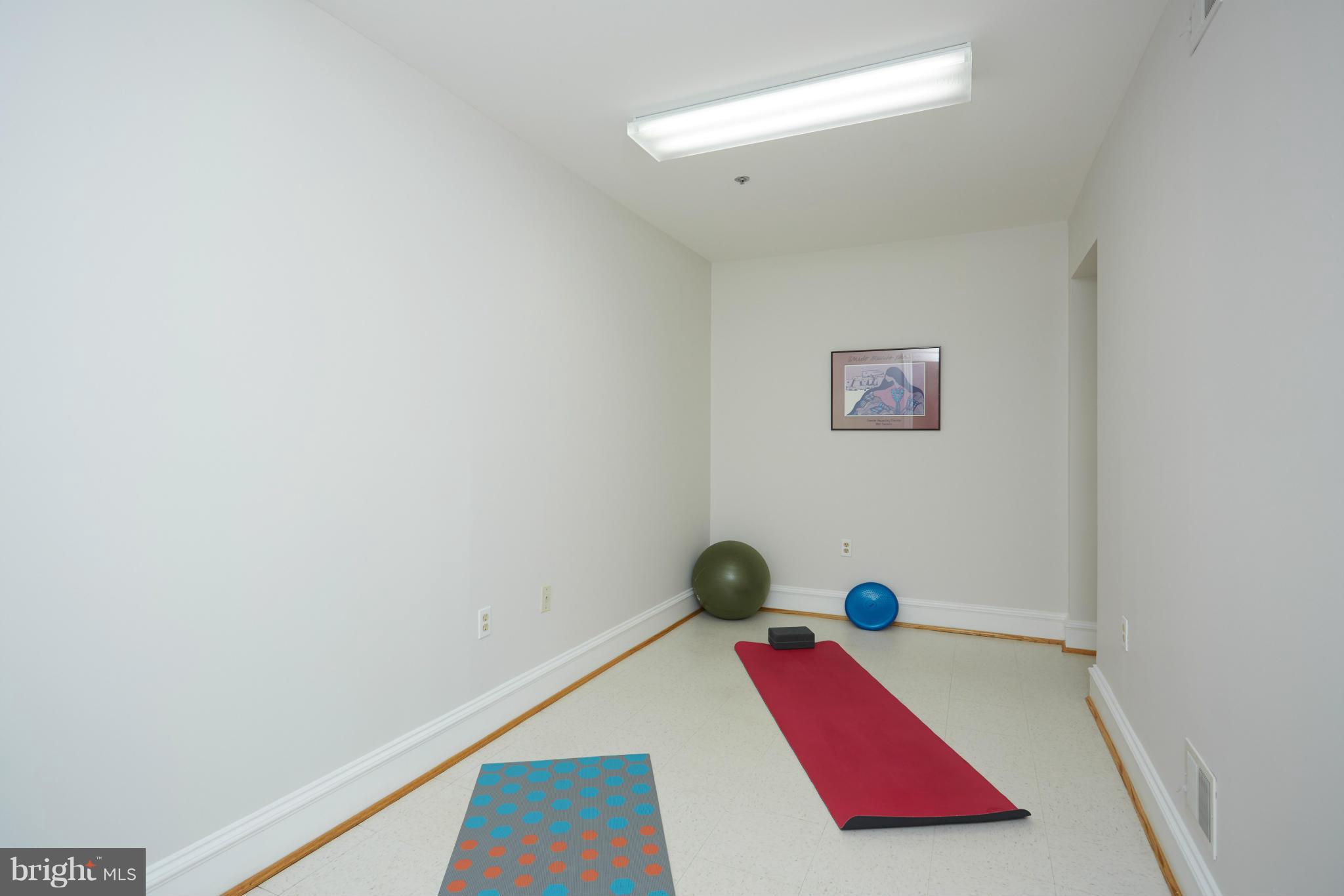 7447 Arlington Road Bethesda, MD 20814 - Photo 19 of 20 a view of bath room with furniture and toys