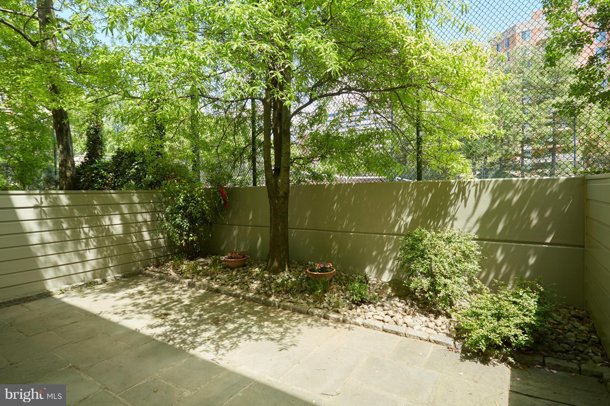 7447 Arlington Road Bethesda, MD 20814 - Photo 20 of 20