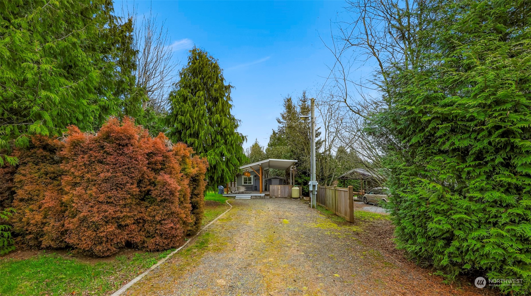 4532 Decatur Drive Ferndale, WA 98248 - Photo 2 of 32 a view of a yard with plants and a trees