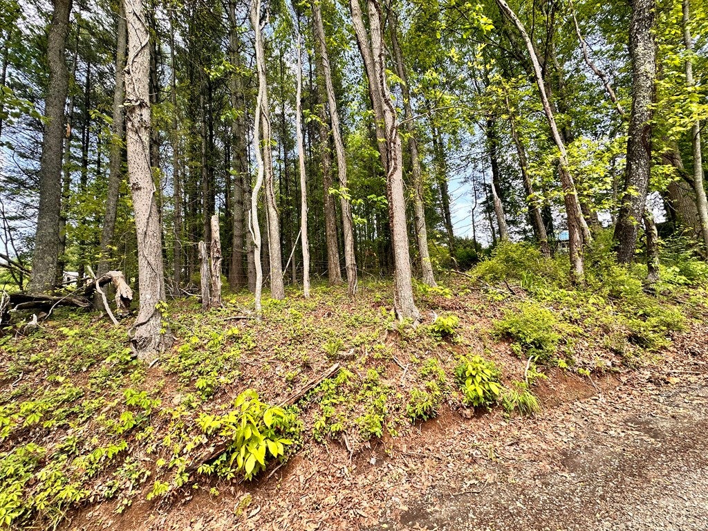 4306 Keno Road, Unit 6 Laurel Fork, VA 24352 - Photo 13 of 13 Gallery Image 13