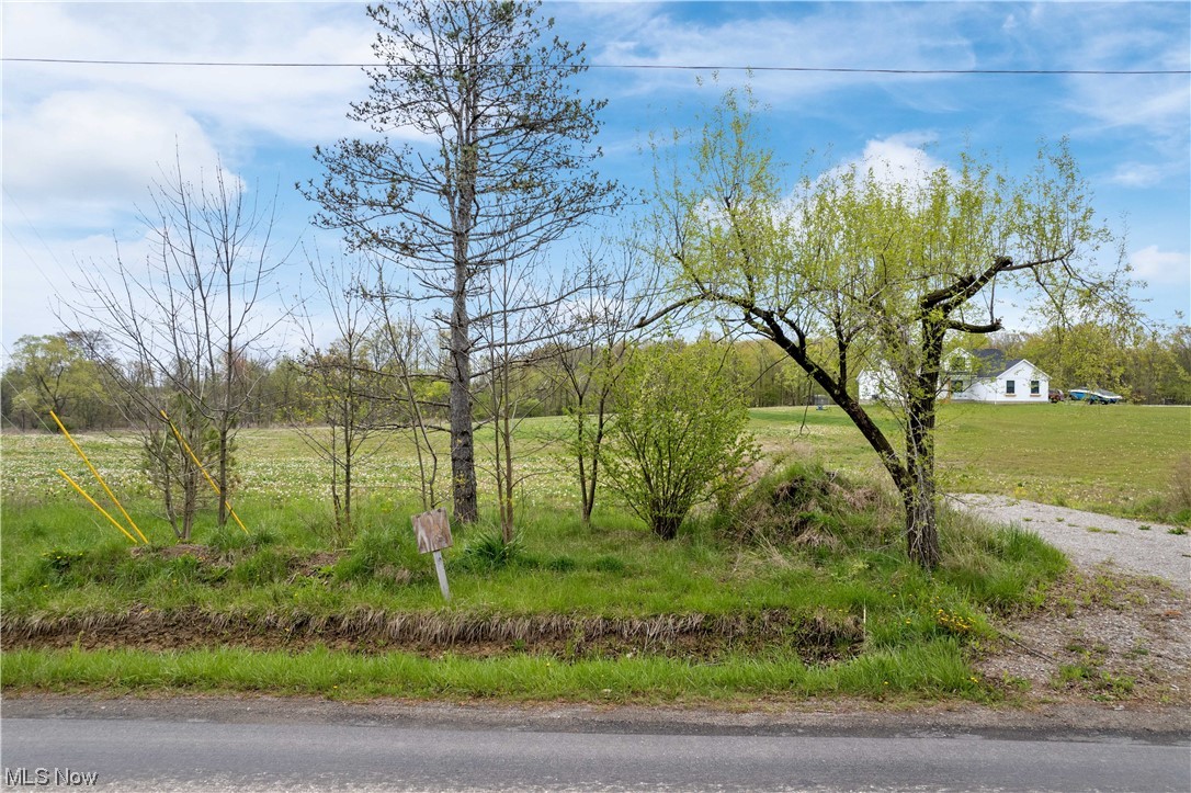 7661 Firestone Road Homerville, OH 44235 - Photo 4 of 11 Gallery Image 4