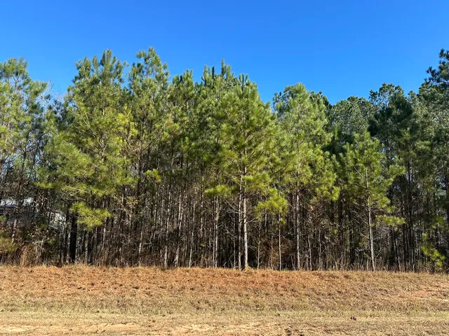 $95,000 | Lot 62 Wisteria Drive, Lincolnton, GA 30817