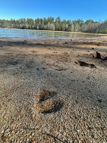 $95,000 | Lot 62 Wisteria Drive, Lincolnton, GA 30817