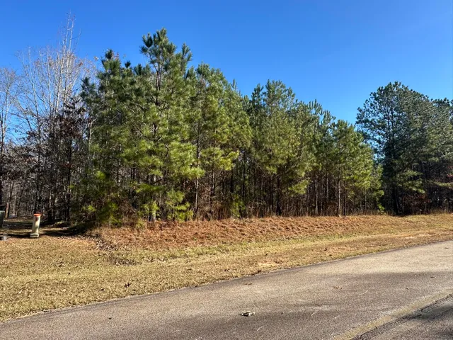 $95,000 | Lot 62 Wisteria Drive, Lincolnton, GA 30817