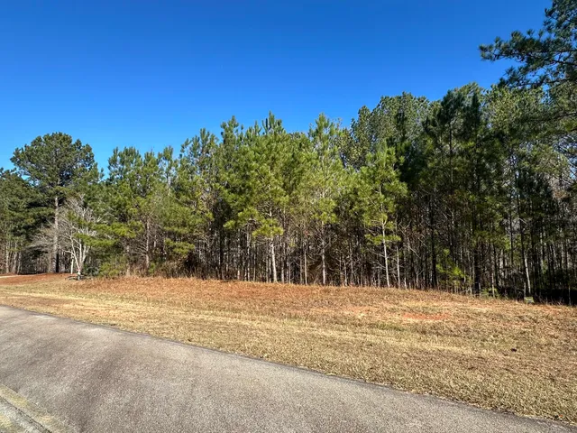 $95,000 | Lot 62 Wisteria Drive, Lincolnton, GA 30817