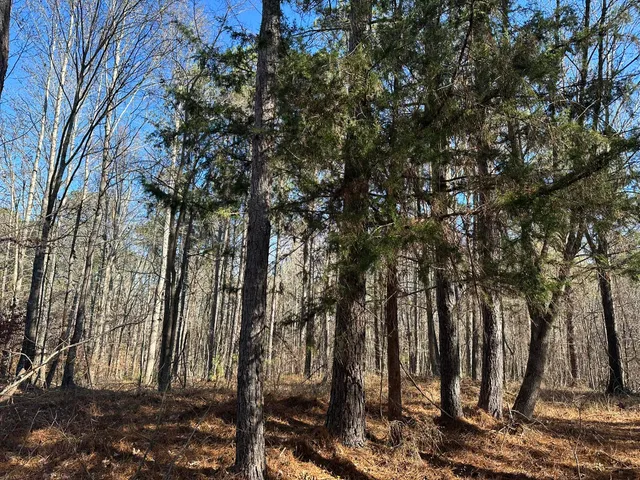 $95,000 | Lot 62 Wisteria Drive, Lincolnton, GA 30817