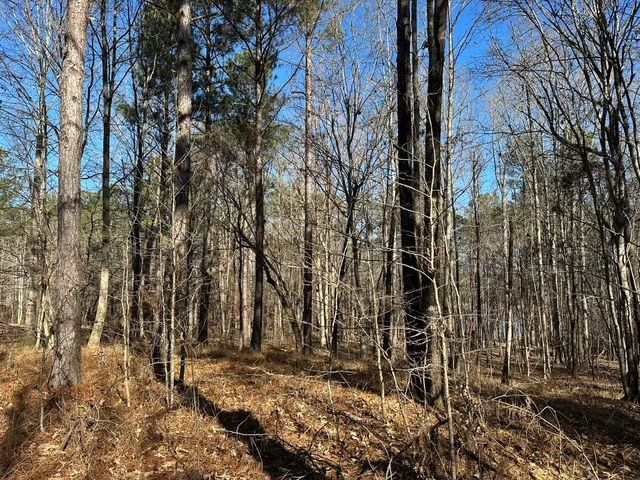 $95,000 | Lot 62 Wisteria Drive, Lincolnton, GA 30817