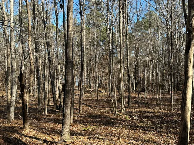 $95,000 | Lot 62 Wisteria Drive, Lincolnton, GA 30817