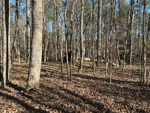 $95,000 | Lot 62 Wisteria Drive, Lincolnton, GA 30817