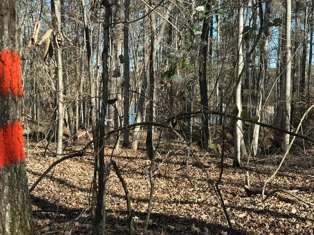 $95,000 | Lot 62 Wisteria Drive, Lincolnton, GA 30817