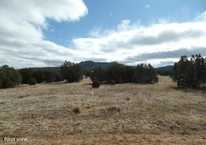 23 Co Road Concho, AZ 85924 - Photo 1 of 5 20230127210053097392000000