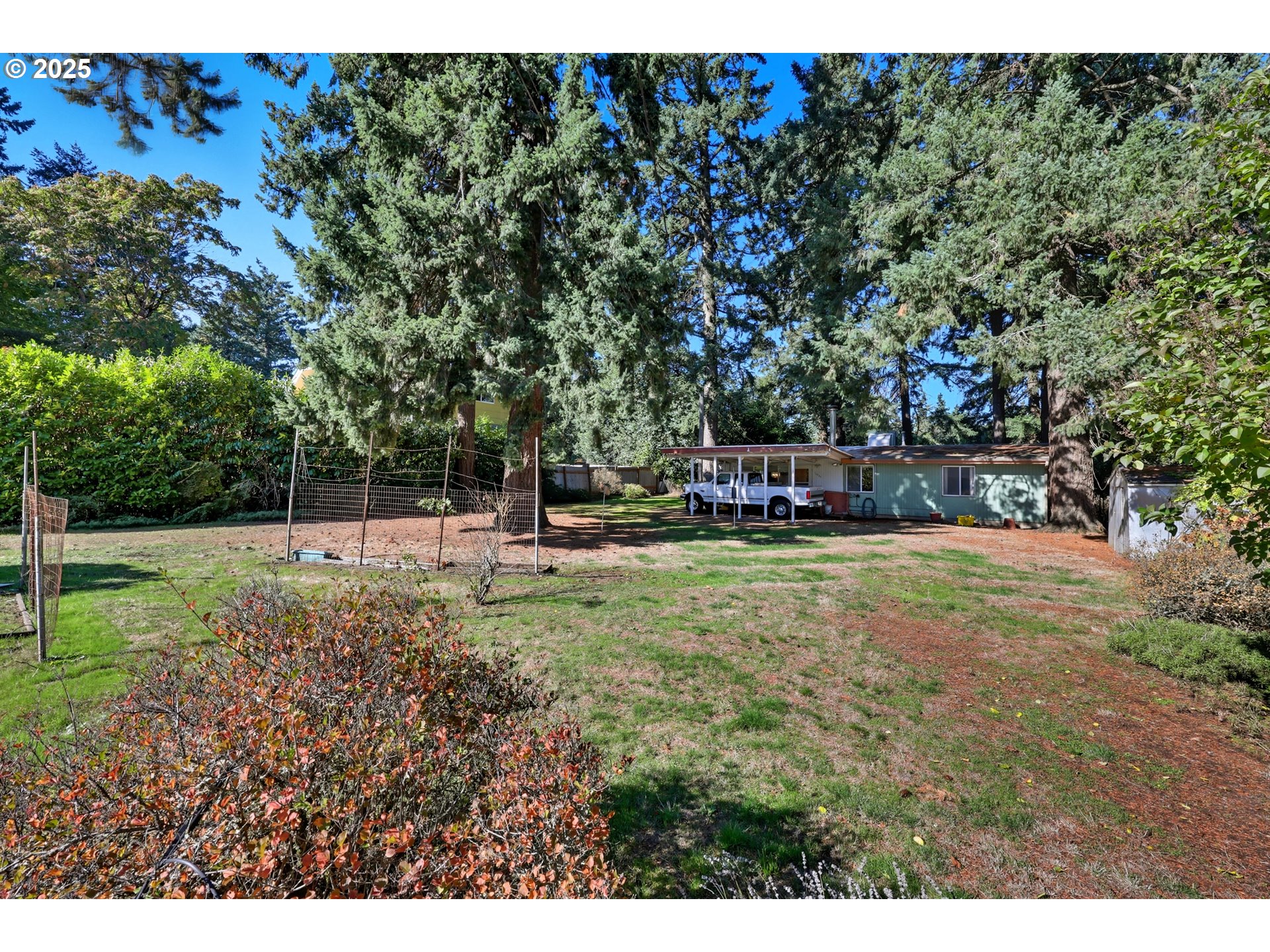 a view of yard with tree