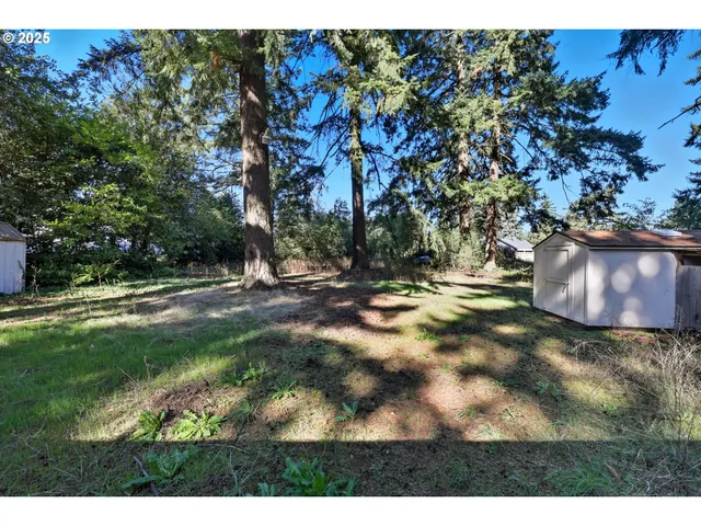 a view of outdoor space with trees all around