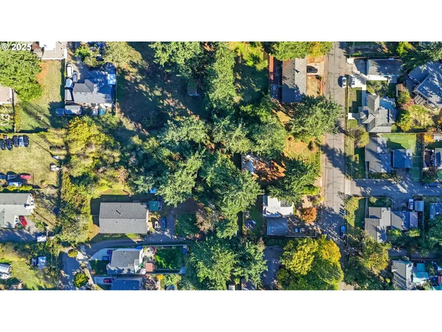 a open area with lots of trees