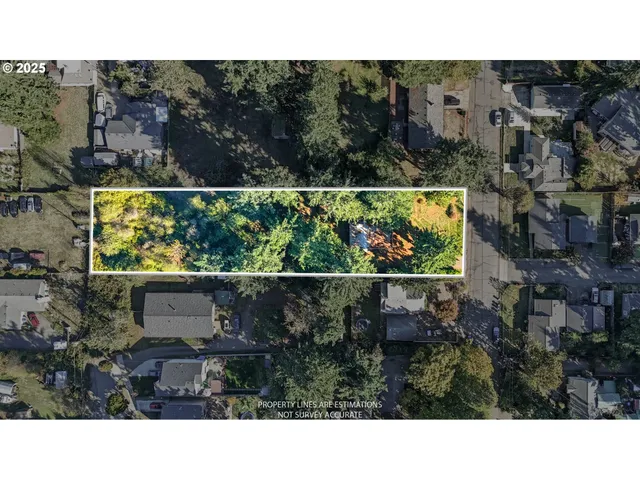 a open area with lots of trees