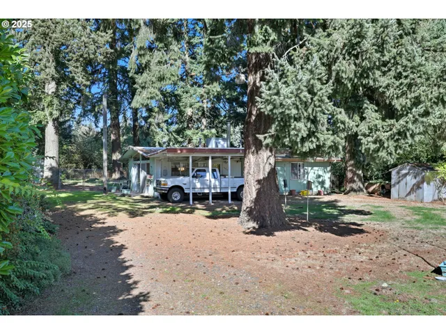 a view of a park with large trees