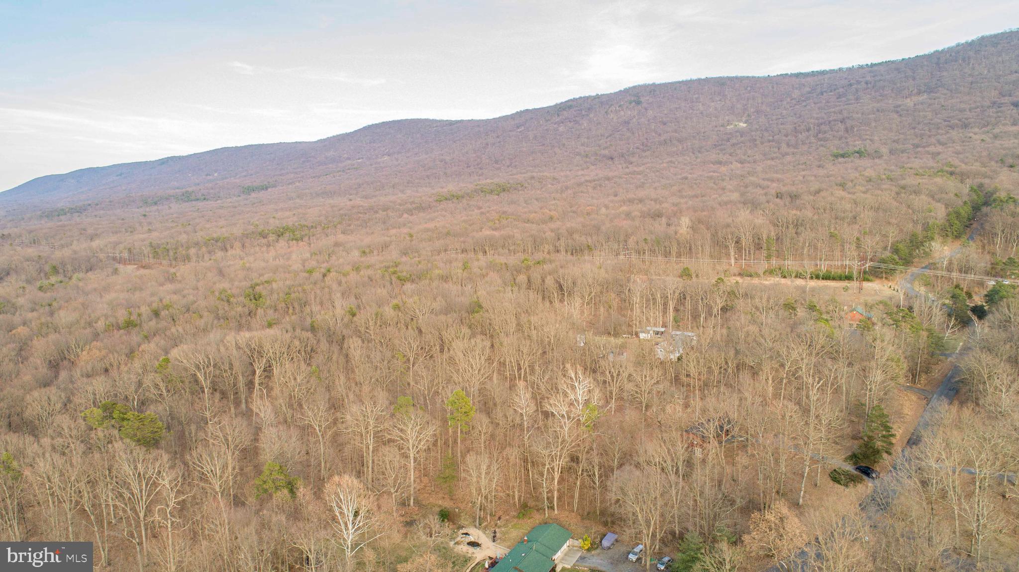 1407 Fleming Park Road Mount Jackson, VA 22842 - Photo 14 of 59 Gallery Image 14