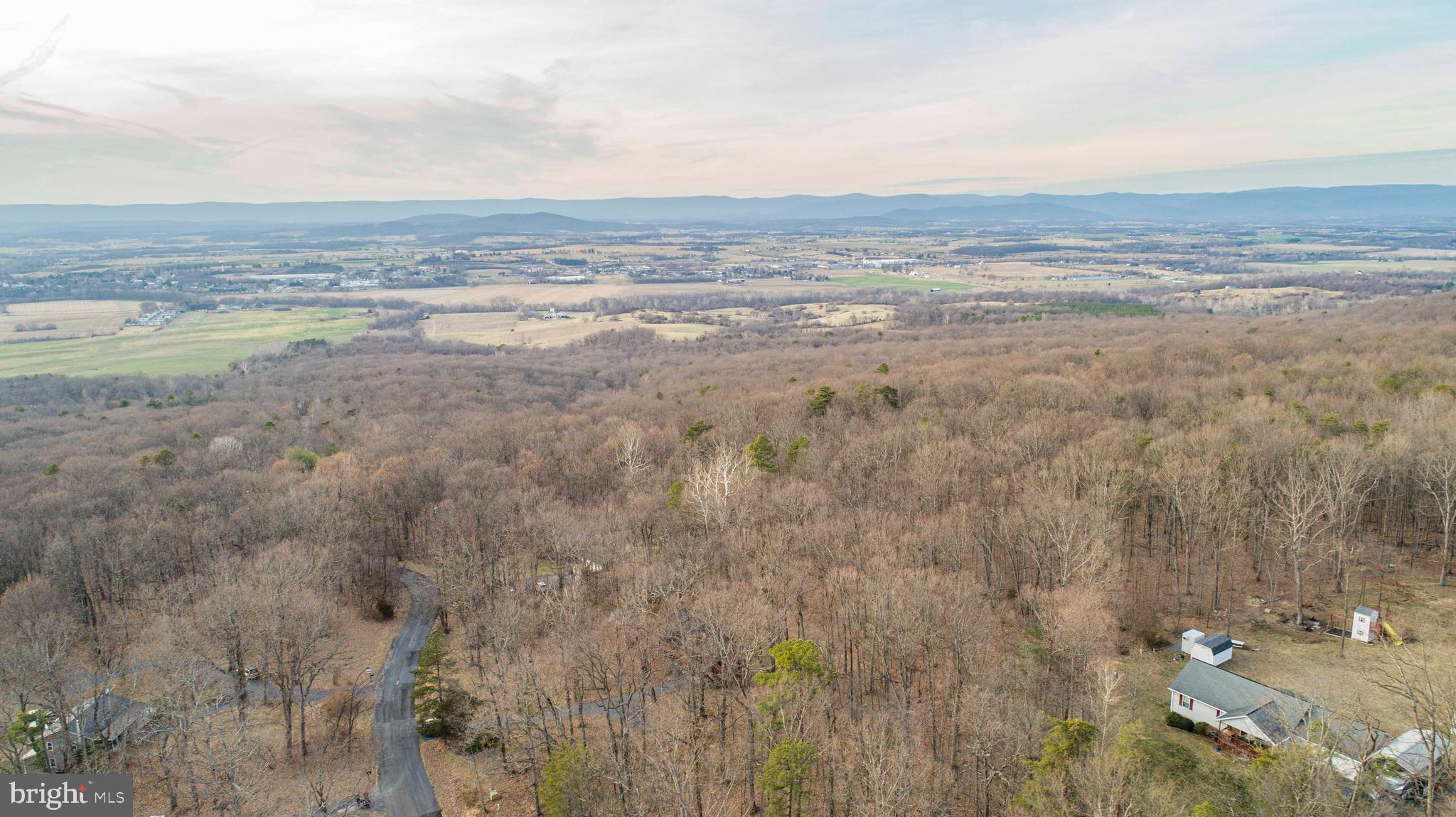 1407 Fleming Park Road Mount Jackson, VA 22842 - Photo 17 of 59 Gallery Image 17