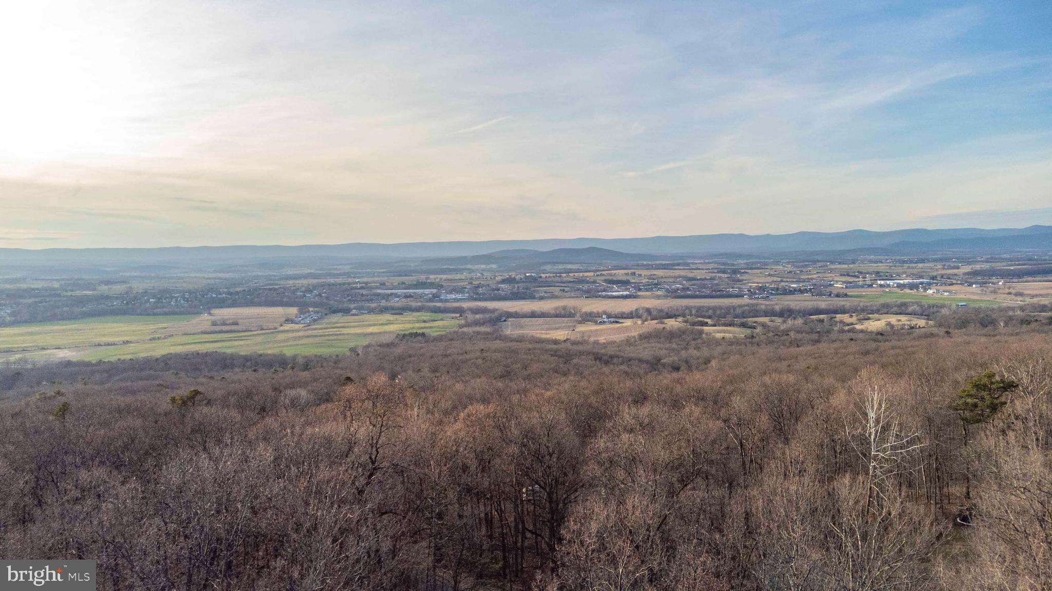1407 Fleming Park Road Mount Jackson, VA 22842 - Photo 18 of 59 Gallery Image 18