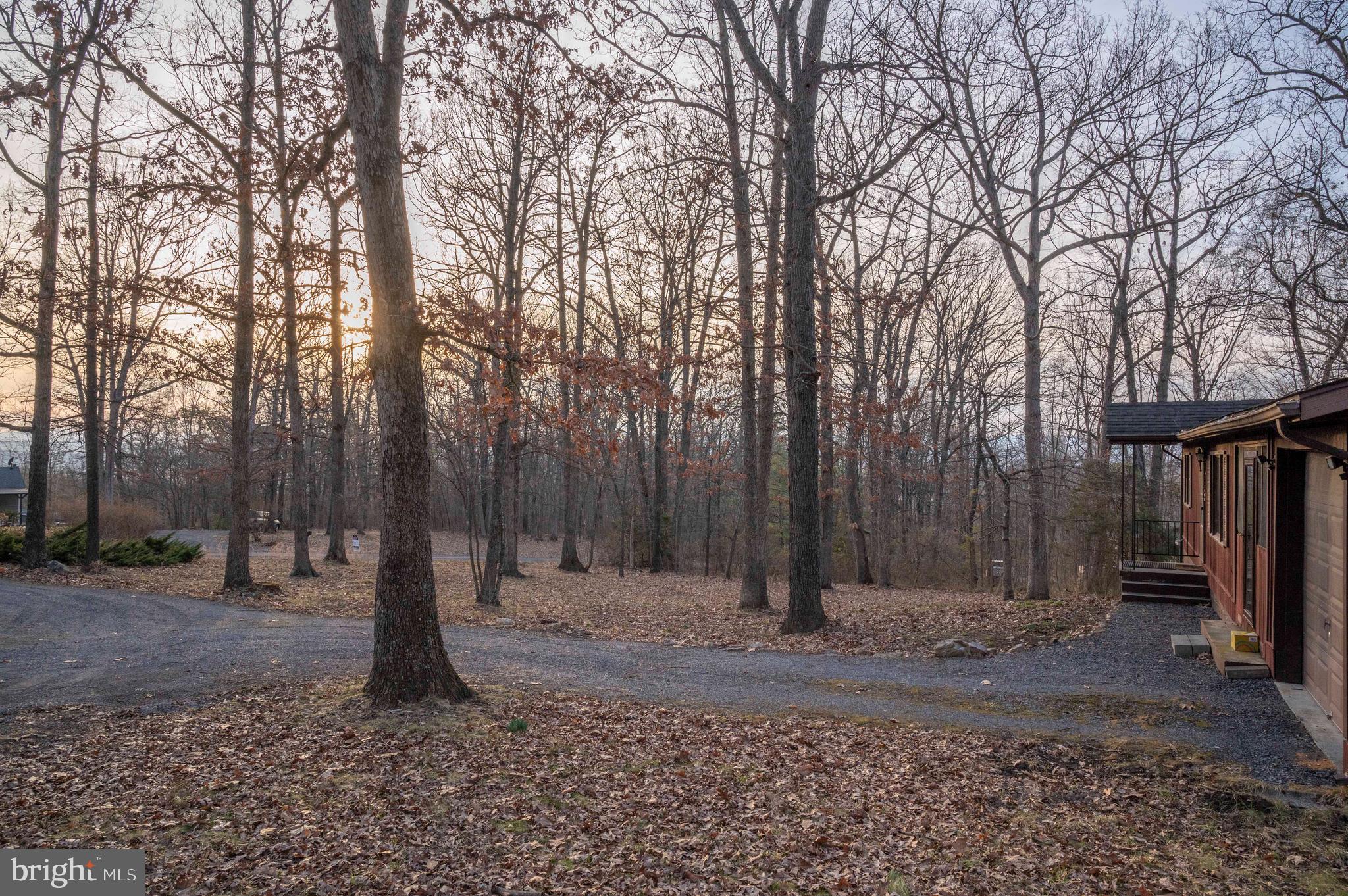 1407 Fleming Park Road Mount Jackson, VA 22842 - Photo 22 of 59 Gallery Image 22