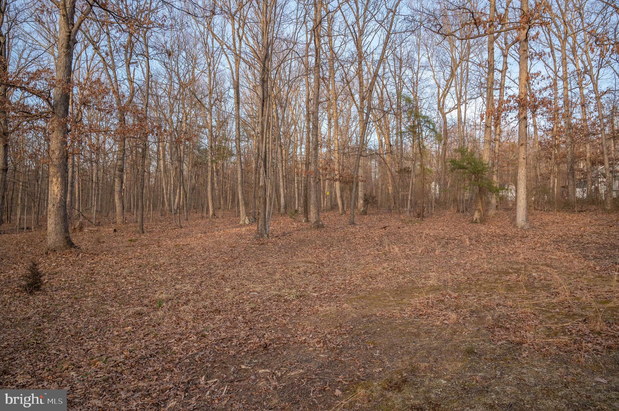 1407 Fleming Park Road Mount Jackson, VA 22842 - Photo 23 of 59 Gallery Image 23