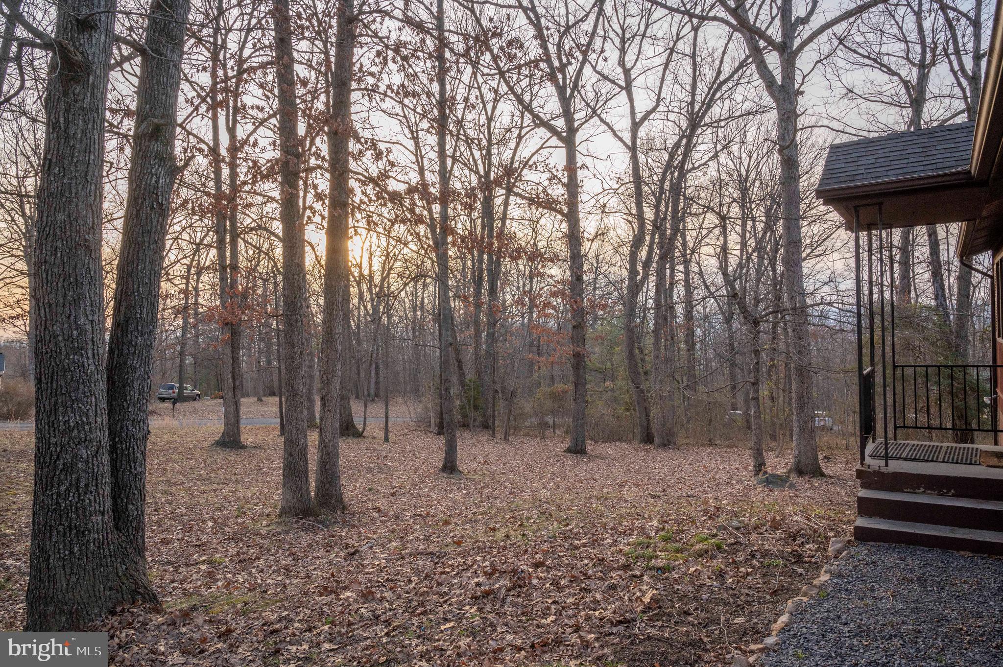 1407 Fleming Park Road Mount Jackson, VA 22842 - Photo 24 of 59 Gallery Image 24
