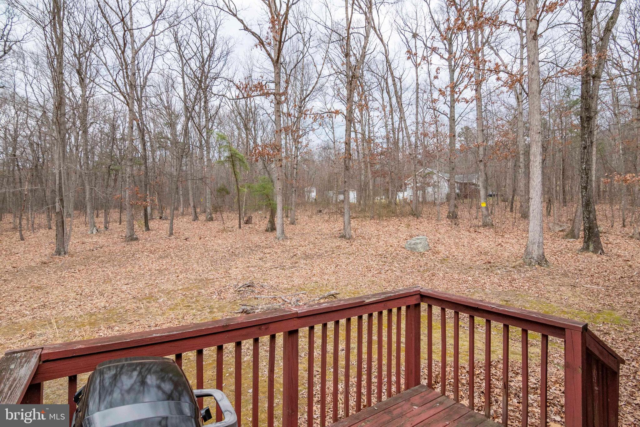 1407 Fleming Park Road Mount Jackson, VA 22842 - Photo 37 of 59 Enjoy the serenity on your back deck!