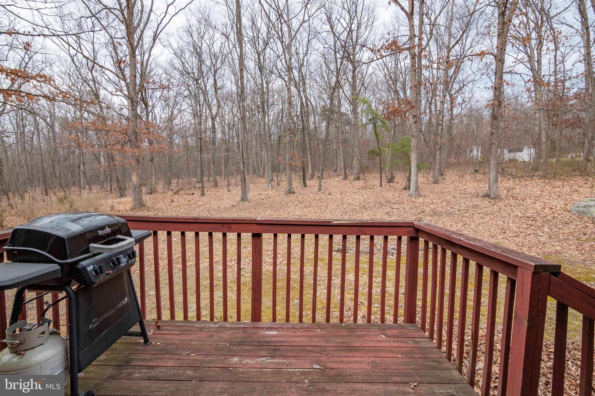 1407 Fleming Park Road Mount Jackson, VA 22842 - Photo 38 of 59 Gallery Image 38