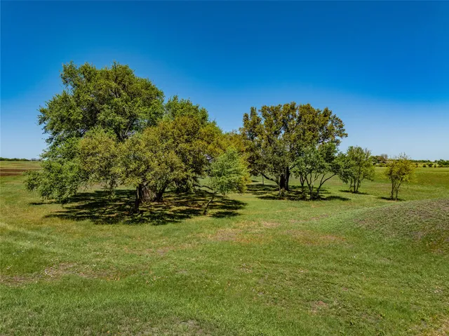 a view of a field with an trees