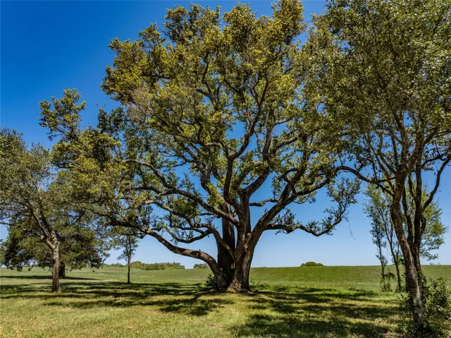 $431,250 | 2 West Fm 1291, Round Top, TX 78954