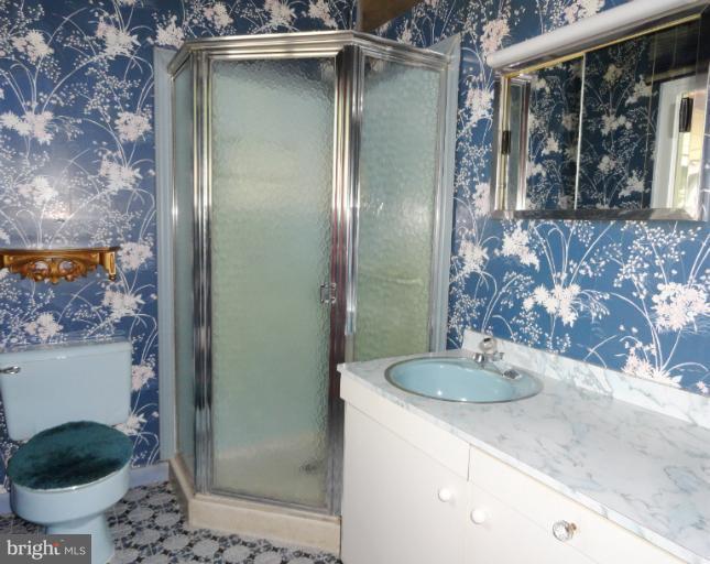 7400 Prince George Road Pikesville, MD 21208 - Photo 20 of 30 Bath (Master)