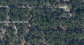 $15,000 | 3215 Delafield Avenue, Lake Placid, FL 33852